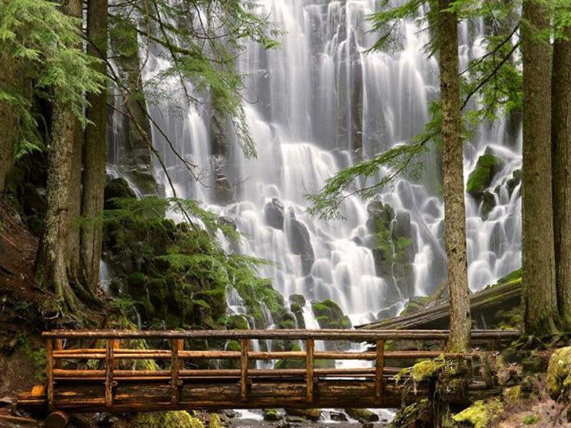 負氧離子濃度是空氣質(zhì)量評價的指標
