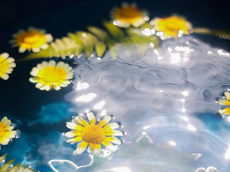 在線氨氮測定儀的應(yīng)用