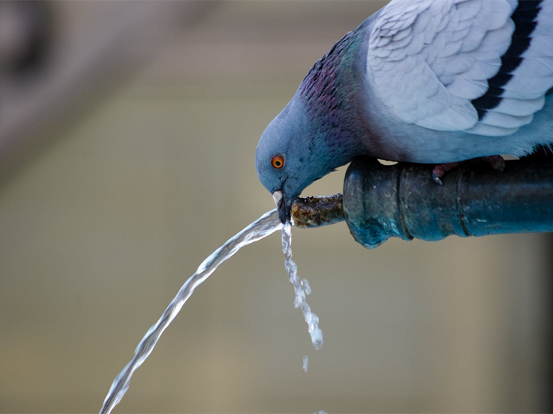 瞬時(shí)水樣和混合水樣分別是什么