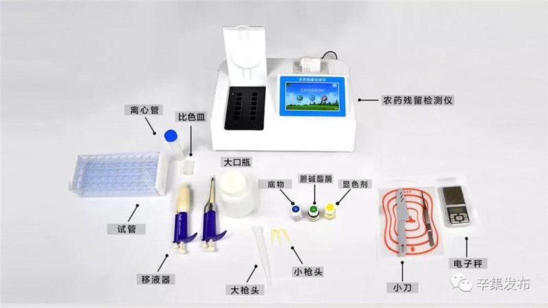 辛集市58所學(xué)校配備農(nóng)藥殘留檢測(cè)儀 辛集市58所學(xué)校配備農(nóng)藥殘留檢測(cè)儀